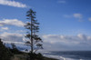 Haystack Rock can be seen to the South of Ecola State Park; Cannon Beach, Oregon, United States of America Poster Print by Robert L. Potts / Design Pics - Item # VARDPI12324729