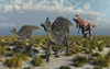 A carnivorous T-rex chasing a pair of Velafrons dinosaurs. Poster Print by Mark Stevenson/Stocktrek Images - Item # VARPSTMAS600168P