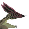 Thalassodromeus pterosaur headshot. Poster Print by Corey Ford/Stocktrek Images - Item # VARPSTCFR200800P