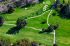 Triangular aerial view of Ojai Valley Inn Country Club Golf Course in Ventura County, Ojai, CA Poster Print by Panoramic Images - Item # VARPPI181677