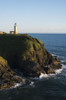 The North Nead Lighthouse is located at Cape Disappointment State Park; Ilwaco, Washington, United States of America Poster Print by Robert L. Potts / Design Pics - Item # VARDPI2383064