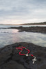 A Cross And Rosary Beads Laying On A Rock At Flat Rock; Ballina, New South Wales, Australia Poster Print by Marcos Welsh / Design Pics - Item # VARDPI1894806