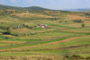 Apollonia, or Apoloni, Fier Region, Albania. Typical countryside viewed from the ruins of Apollonia. Poster Print by Panoramic Images - Item # VARPPI170144