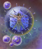 Vitruvian Man inside virus particle. Poster Print by TriFocal Communications/Stocktrek Images - Item # VARPSTTRF700066H