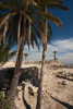 Ruins of ancient city, Megiddo National Park, Megiddo, North Coast, Israel Poster Print by Panoramic Images - Item # VARPPI155716