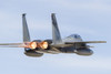 A U.S. Air Force F-15C Eagle taking off from Nellis Air Force Base, Nevada. Poster Print by Rob Edgcumbe/Stocktrek Images - Item # VARPSTRDG100164M