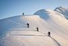 Group Of Backcountry Skiiers Skinning Up A Rail On Cornbiscuit, Turnagain Pass, Kenai Mountains, Winter In Southcentral Alaska Poster Print by Joe Stock / Design Pics - Item # VARDPI2097964