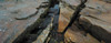 High angle view of rocks at coast, Acadia National Park, Maine, USA Poster Print by Panoramic Images - Item # VARPPI162406