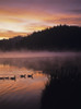 Eel Lake reflects the dawn sky; Winchester Bay, Oregon, United States of America Poster Print by Robert L. Potts / Design Pics - Item # VARDPI2413519