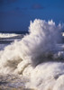 Heavy surf breaks at Shore Acres State Park; Charleston, Oregon, United States of America Poster Print by Robert L. Potts / Design Pics - Item # VARDPI12268123