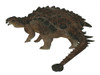 Pinacosaurus dinosaur on white background. Poster Print by Corey Ford/Stocktrek Images - Item # VARPSTCFR200769P