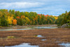 Colorful autumn trees on a shore of a lake in northern Ontario, Canada Poster Print by Panoramic Images - Item # VARPPI175340