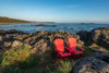 Empty red chairs at coast, Pacific Rim National Park Reserve, Vancouver Island, British Columbia, Canada Poster Print by Panoramic Images - Item # VARPPI174161
