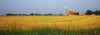 Barn in a field, Wisconsin, USA Poster Print by Panoramic Images - Item # VARPPI153103