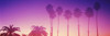 Silhouette of palm trees on beach during fog at sunset, Santa Barbara, California, USA Poster Print by Panoramic Images - Item # VARPPI158570