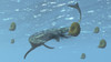 Tylosaurus tries to feed on some ammonites. Poster Print by Arthur Dorety/Stocktrek Images - Item # VARPSTADR600067P
