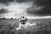 Black and white image of a dog sitting in a grass field under a cloudy sky; North Yorkshire, England Poster Print by John Short / Design Pics - Item # VARDPI12324647