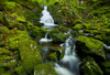 Waterfall and mossy rocks, East branch of Great Village River, near Wentworth Valley; Nova Scotia, Canada Poster Print by Irwin Barrett / Design Pics - Item # VARDPI12325092