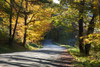 Country dirt road in autumn; Woodstock, Vermont, United States of America Poster Print by Jenna Szerlag / Design Pics - Item # VARDPI12309646