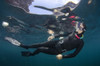 British free diver on surface, Sea of Cortez, Baja California, Mexico. Poster Print by VWPics/Stocktrek Images - Item # VARPSTVWP401469U