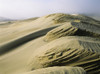 Sand patterns created by the wind; Lakeside, Oregon, United States of America Poster Print by Robert L. Potts / Design Pics - Item # VARDPI2395511