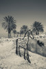 Horse sculpture in a park, Megiddo National Park, Megiddo, North Coast, Israel Poster Print by Panoramic Images - Item # VARPPI155717