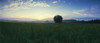 View of Fallow field during sunrise, Joutseno, Lappeenranta, Finland Poster Print by Panoramic Images - Item # VARPPI158622