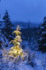 A festive Mountain Hemlock evergreen tree strung with white lights and covered in snow in a wintery landscape, Kenai Mountains; Moose Pass, Alaska, United States of America Poster Print by Kevin G. Smith / Design Pics - Item # VARDPI12308193