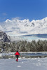 Person Cross-Country Skiing In A Winter Landscape At Mendenhall River With Mendenhall Glacier And Towers In The Background, Tongass National Forest, Southeast Alaska Poster Print by John Hyde / Design Pics - Item # VARDPI2102803