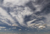 Blue sky with cloud; Palouse, Washington, United States of America Poster Print by Marg Wood / Design Pics - Item # VARDPI12309850