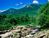 River flowing through a forest, West Branch Ausable River, Flume Falls, Adirondack Mountains, New York State, USA Poster Print by Panoramic Images - Item # VARPPI167218