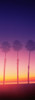 Silhouette of palm trees on beach during fog at sunset, Santa Barbara, California, USA Poster Print by Panoramic Images - Item # VARPPI158567