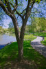 Lake in Central Park in the Spring, New York City, New York Poster Print by Panoramic Images - Item # VARPPI181791