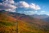 Autumn trees on mountain, Baxter Mountain, Adirondack Mountains State Park, New York State, USA Poster Print by Panoramic Images - Item # VARPPI173032