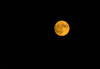 Full moon in the sky at night Poster Print by Panoramic Images - Item # VARPPI175373
