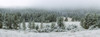 Trees on a snow covered landscape along Trail Ridge Road, Estes Park, Rocky Mountain National Park, Colorado, USA Poster Print by Panoramic Images - Item # VARPPI161549