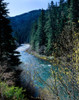 River flowing through a forest, North Umpqua River, Umpqua National Forest, Douglas County, Oregon, USA Poster Print by Panoramic Images - Item # VARPPI173243