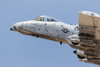 A U.S. Air Force A-10 Thunderbolt II in flight. Poster Print by Rob Edgcumbe/Stocktrek Images - Item # VARPSTRDG100249M