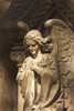 Buenos Aires, Argentina; A Stone Statue Of An Angel In Recoleta Cemetery Poster Print by Stuart Westmorland / Design Pics - Item # VARDPI1875938