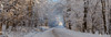 Dirt road passing through snow covered forest, East Hill, Quebec, Canada Poster Print by Panoramic Images - Item # VARPPI173898