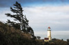 North Head Lighthouse, Cape Disappointment State Park; Ilwaco, Washington, United States of America Poster Print by Robert L. Potts / Design Pics - Item # VARDPI2380950