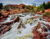 Water falling from rocks, Mill Creek, Moab, Utah, USA Poster Print by Panoramic Images - Item # VARPPI167304