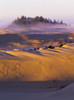 Morning sun warms the dunes; Lakeside, Oregon, United States of America Poster Print by Robert L. Potts / Design Pics - Item # VARDPI2428148