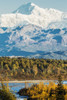 Denali, viewed from the Parks Highway, interior Alaska, near South Viewpoint rest stop; Alaska, United States of America Poster Print by Doug Lindstrand / Design Pics - Item # VARDPI12318767