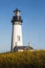 Mustards blooms near the Yaquina Head Lighthouse; Newport, Oregon, United States of America Poster Print by Robert L. Potts / Design Pics - Item # VARDPI2384142