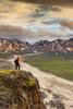 A man standing on a bluff at Polychome Pass with the Plains of Murie and the Alaska Range in the background, Denali National Park, Interior Alaska Poster Print by Michael Jones / Design Pics - Item # VARDPI12256265