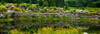 Rocks and plants in Rock Garden, Knowlton, Quebec, Canada Poster Print by Panoramic Images - Item # VARPPI173928