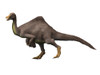 Deinocheirus is an ostrich-like dinosaur of the Late Cretaceous period. Poster Print by Nobumichi Tamura/Stocktrek Images - Item # VARPSTNBT600168P