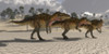 Acrocanthosaurus theropod dinosaurs search for prey. Poster Print by Corey Ford/Stocktrek Images - Item # VARPSTCFR200810P