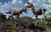 An armored Ankylosaurus protecting itself from a pair of T-rex dinosaurs. Poster Print by Mark Stevenson/Stocktrek Images - Item # VARPSTMAS600172P